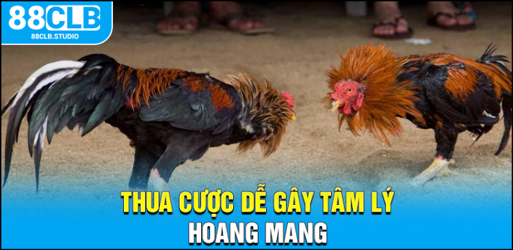 Thua cược dễ gây tâm lý hoang mang Thua cược dễ gây tâm lý hoang mang
