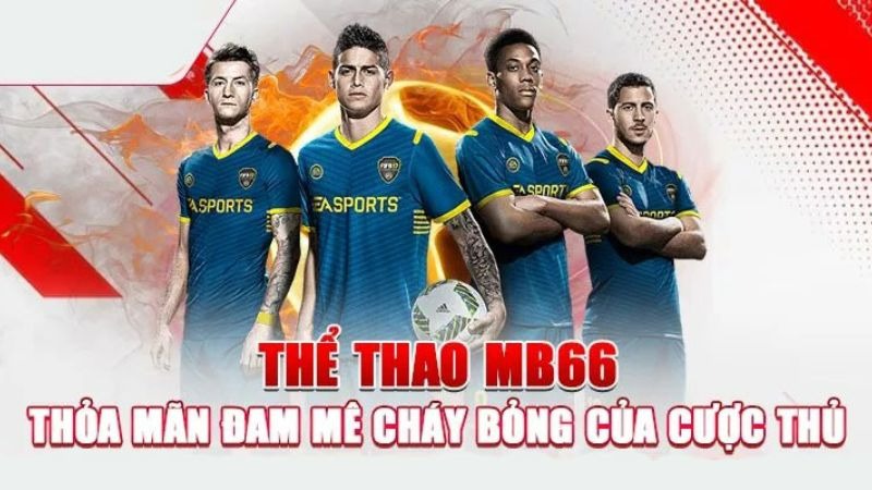 Giới thiệu về sảnh thể thao MB66